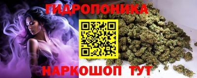круглые Пушкино