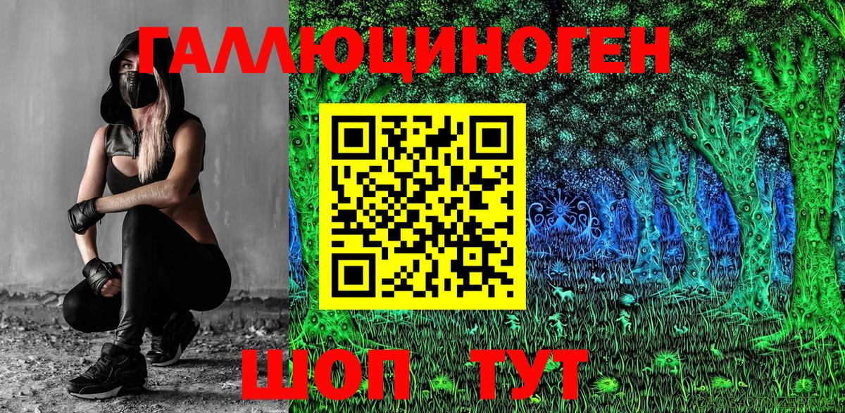 Галлюциногенные грибы Cubensis Саянск
