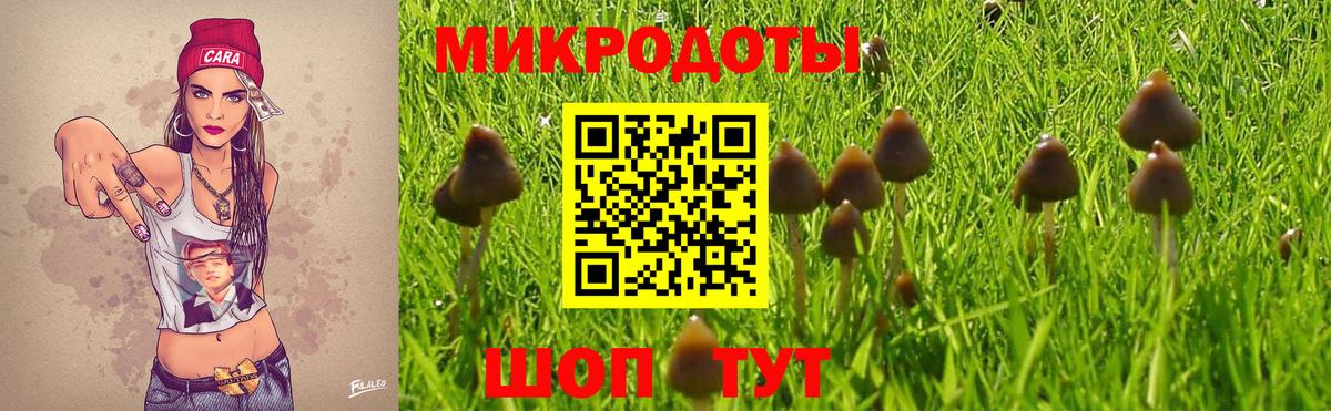 Галлюциногенные грибы MAGIC MUSHROOMS  даркнет сайт  Саянск  Вход с VPN 